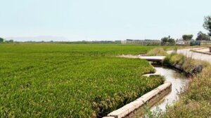 horta València